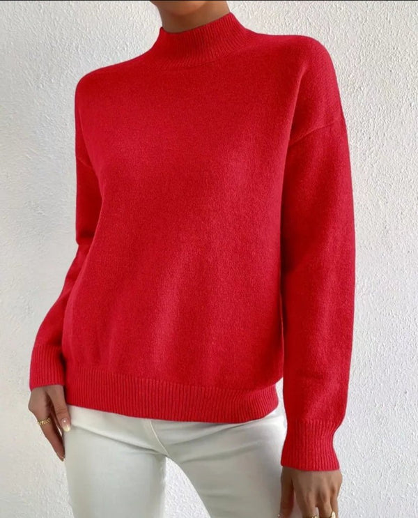 Kadın Uzun Kollu Balıkçı Yaka Triko Bluz , 29722